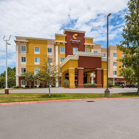 Comfort Suites Denham Springs Εξωτερικό φωτογραφία